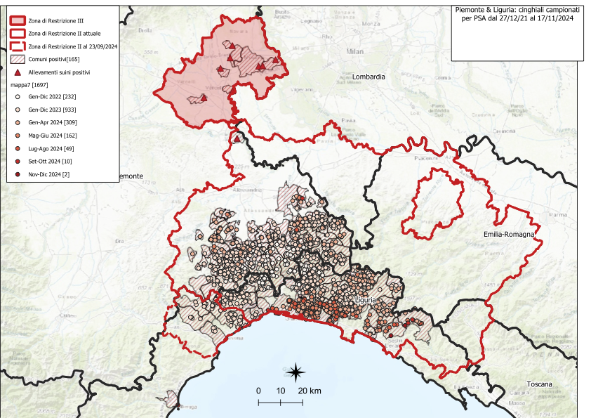 I CONTROLLI PER LA PSA – IN LIGURIA UN NUOVO POSITIVO TRA I CINGHIALI – NESSUNO IN PIEMONTE