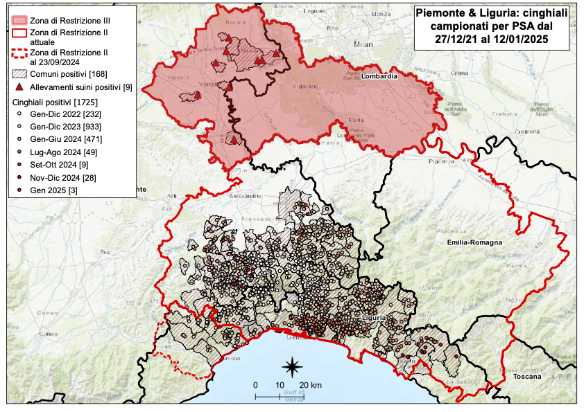 I CONTROLLI PER LA PSA – TRE NUOVI POSITIVI TRA I CINGHIALI IN PIEMONTE, NESSUNO IN LIGURIA