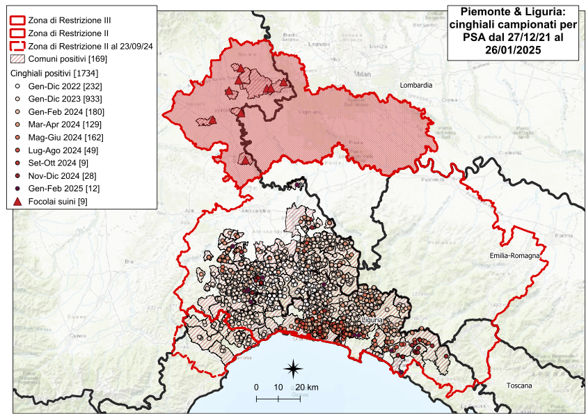 I CONTROLLI PER LA PSA – TRE NUOVI POSITIVI TRA I CINGHIALI – UNO IN PIEMONTE, DUE IN LIGURIA