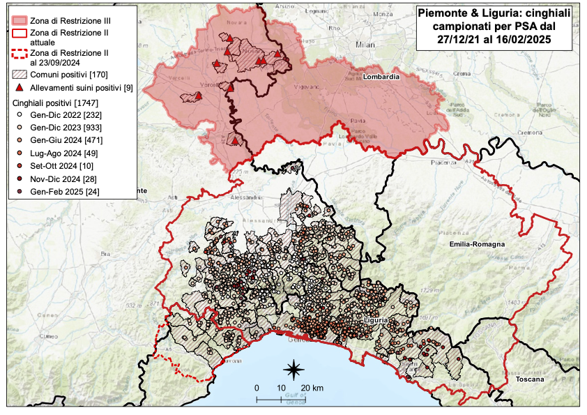 I CONTROLLI PER LA PSA – CINQUE NUOVI POSITIVI TRA I CINGHIALI IN PIEMONTE, NESSUNO IN LIGURIA