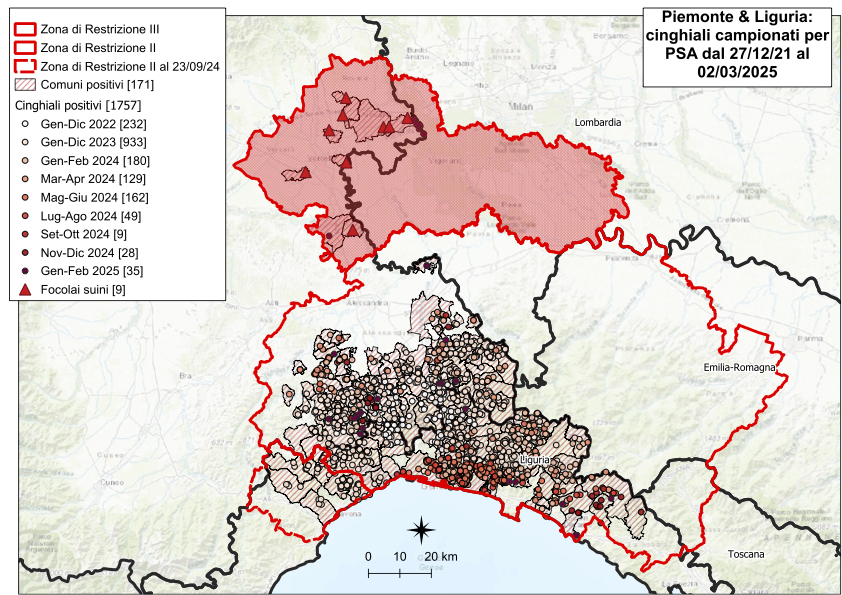 I CONTROLLI PER LA PSA – SEI NUOVI POSITIVI TRA I CINGHIALI, CINQUE IN PIEMONTE, UNO IN LIGURIA