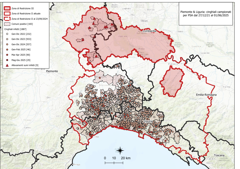 I CONTROLLI PER LA PSA – TRE NUOVI POSITIVI TRA I CINGHIALI, TRE IN LIGURIA, NESSUNO IN PIEMONTE