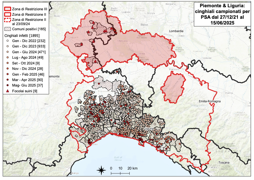I CONTROLLI PER LA PSA – SEI NUOVI POSITIVI TRA I CINGHIALI; SEI IN LIGURIA, NESSUNO IN PIEMONTE