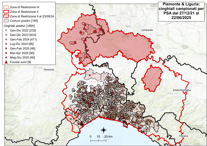 I CONTROLLI PER LA PSA – NOVE NUOVI POSITIVI TRA I CINGHIALI; SETTE IN LIGURIA, DUE IN PIEMONTE