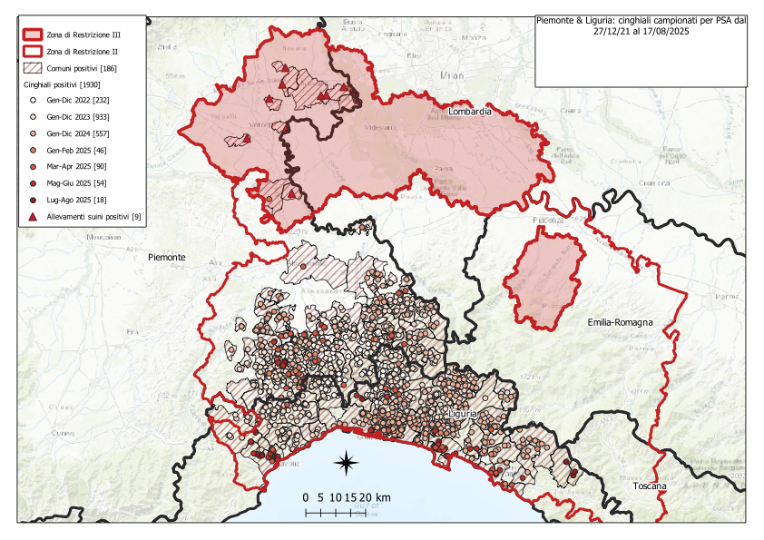 I CONTROLLI PER LA PSA – CINQUE NUOVI POSITIVI TRA I CINGHIALI; CINQUE IN LIGURIA, NESSUNO IN PIEMONTE