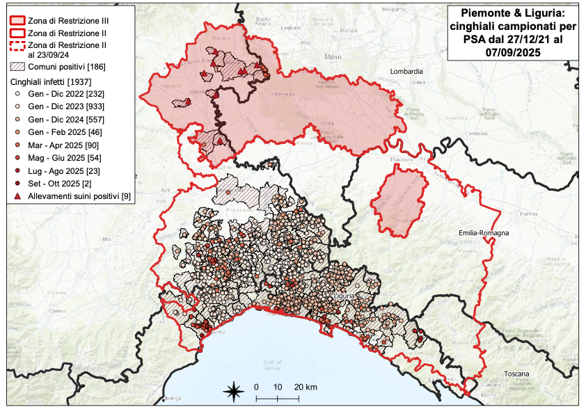 I CONTROLLI PER LA PSA – TRE NUOVI POSITIVI TRA I CINGHIALI; TRE IN LIGURIA, NESSUNO IN PIEMONTE