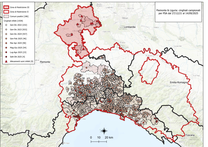 I CONTROLLI PER LA PSA – DUE NUOVI POSITIVI TRA I CINGHIALI; DUE IN LIGURIA, NESSUNO IN PIEMONTE