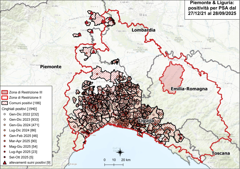 I CONTROLLI PER LA PSA – UN NUOVO POSITIVO TRA I CINGHIALI IN PIEMONTE, NESSUNO IN LIGURIA