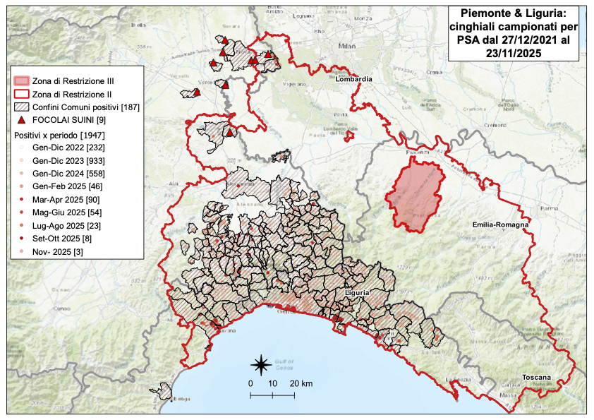 I CONTROLLI PER LA PSA – DUE NUOVI POSITIVI TRA I CINGHIALI IN LIGURIA, NESSUNO IN PIEMONTE