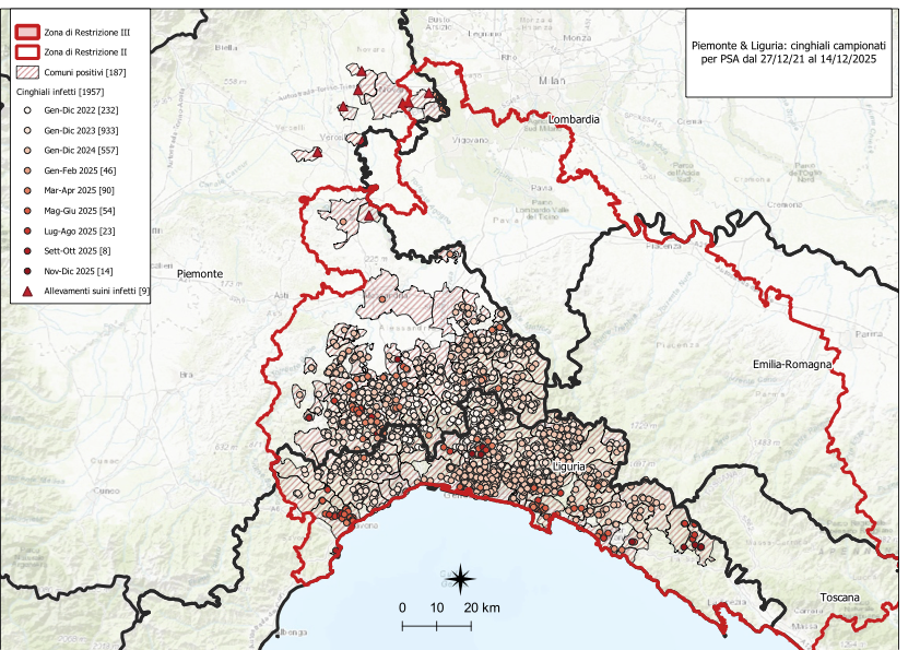 I CONTROLLI PER LA PSA – SETTE NUOVI POSITIVI TRA I CINGHIALI IN LIGURIA, DUE IN PIEMONTE