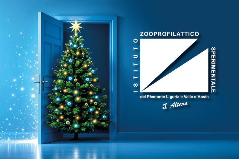 AUGURI DI SERENE FESTIVITÁ E DI UN FUTURO CHE CRESCE CON NOI