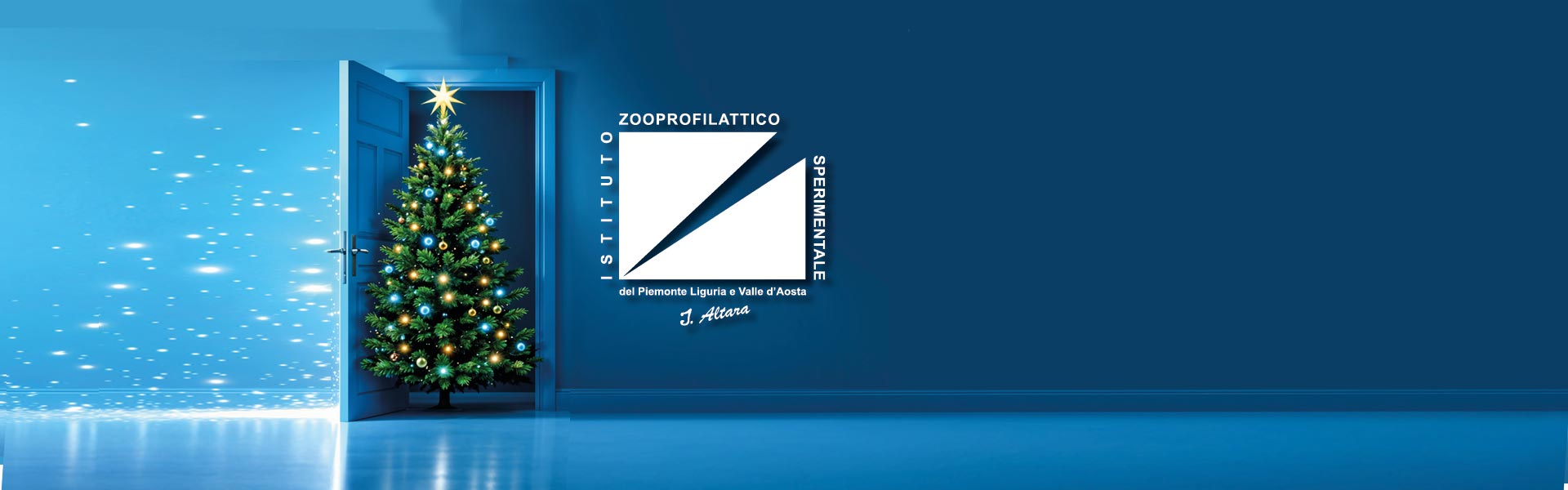 banner natale 25