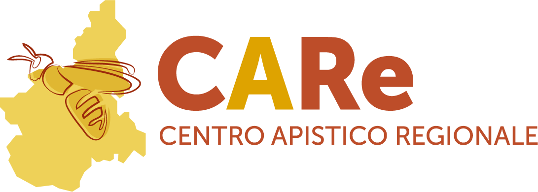 Logo CarE