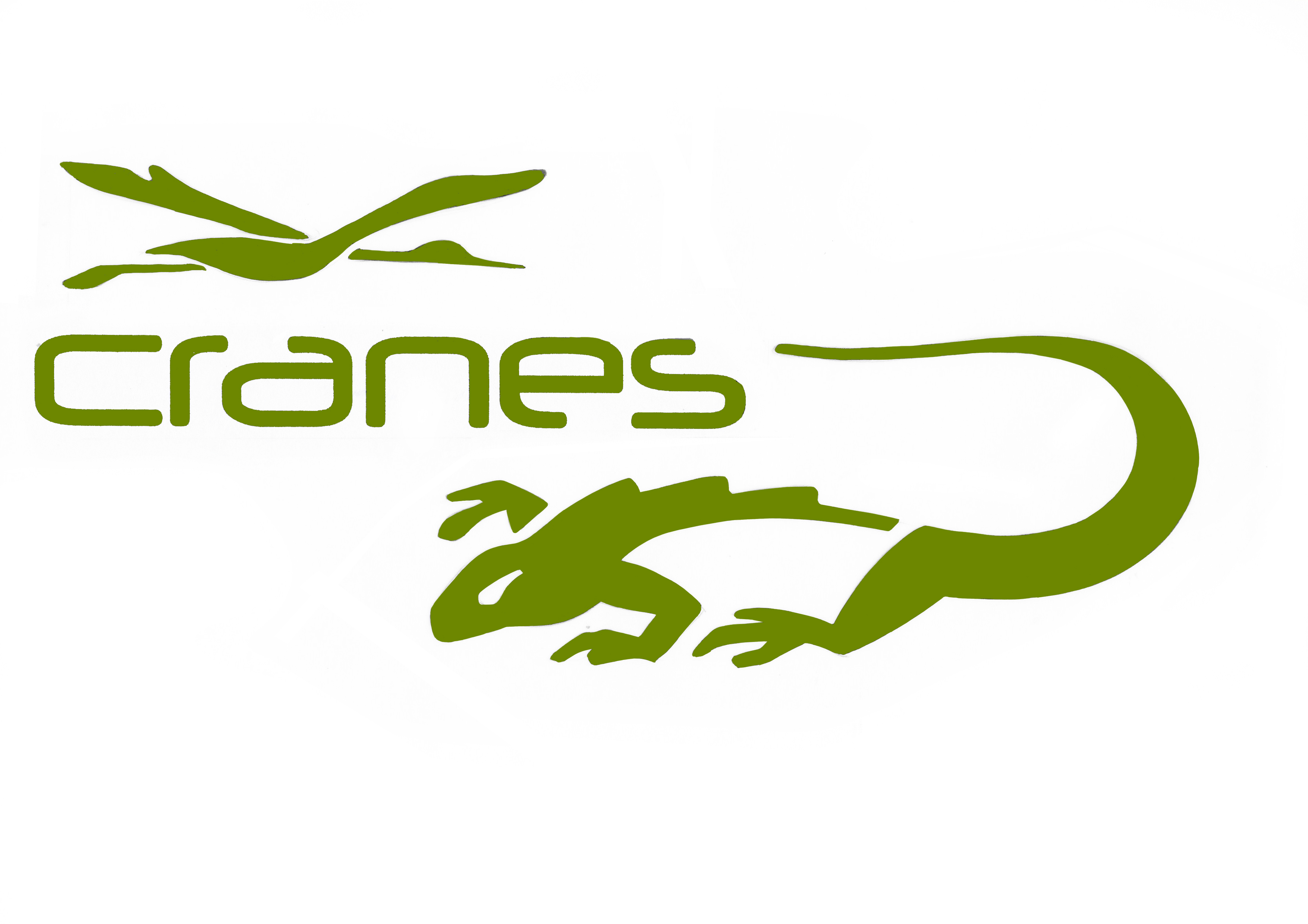Logo CRANES