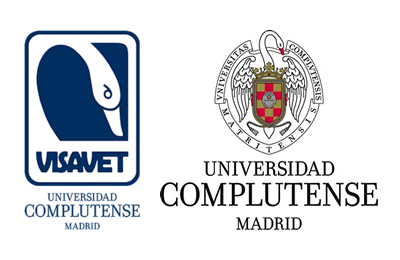 Logo Università di Madrid
