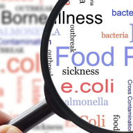 Malattie a trasmissione alimentare: approcci epidemiologici e analitici per la gestione dei focolai
