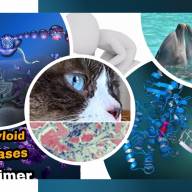 LE AMILOIDOSI: CONFRONTO E NUOVE SFIDE  NELL’AMBITO DELLE MALATTIE PRION-LIKE ANIMALI  E UMANE